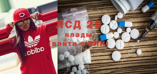 ПСИЛОЦИБИНОВЫЕ ГРИБЫ Богданович