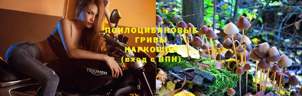 экстази Россошь